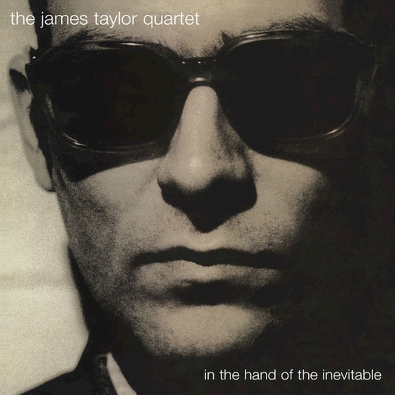 In The Hand Of The Inevitable (LP) image 0