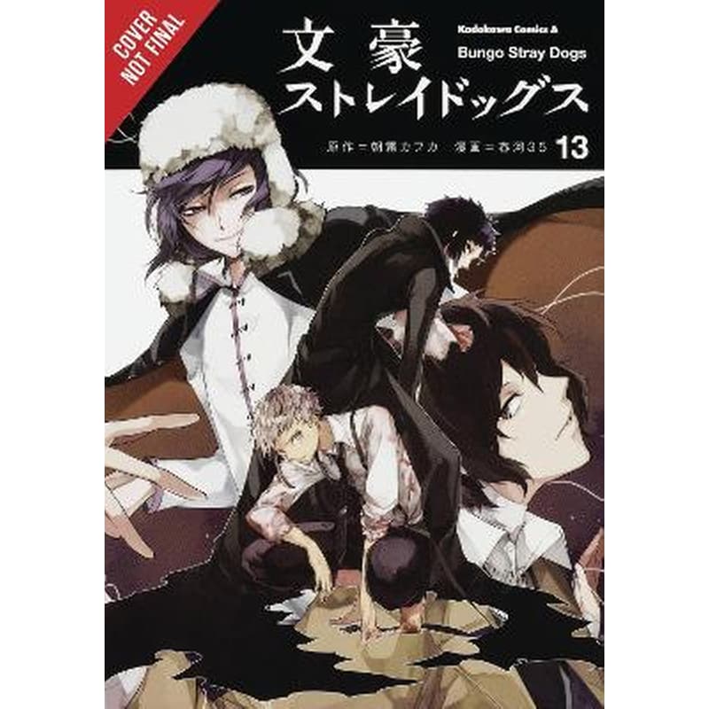 Bungo Stray Dogs, Vol. 13