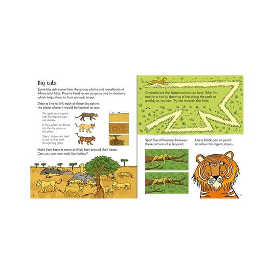 Little Children's Zoo Activity Book image 3