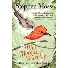 Mrs Moreau's Warbler