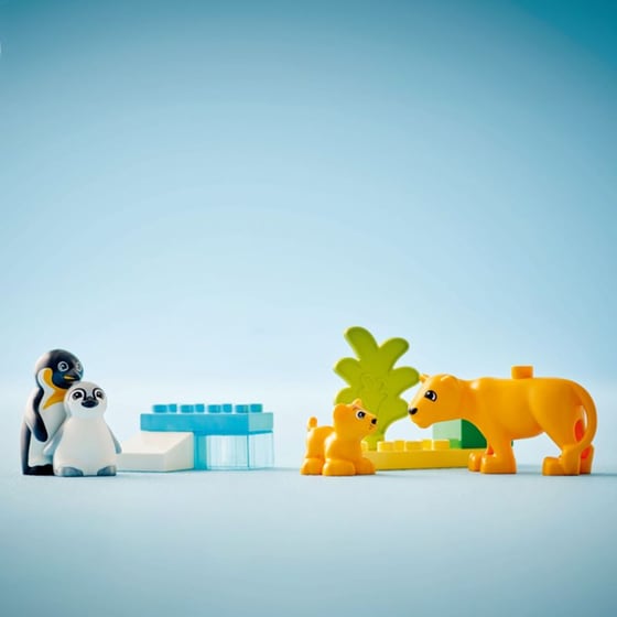 LEGO® Duplo Wild Animal Families: Penguins & Lions (10442) image 11