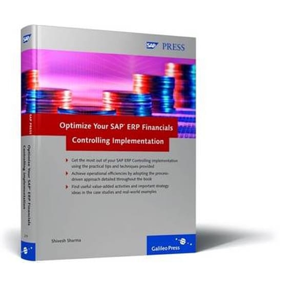 Optimize Your SAP ERP Financials Controlling Implementation image 0