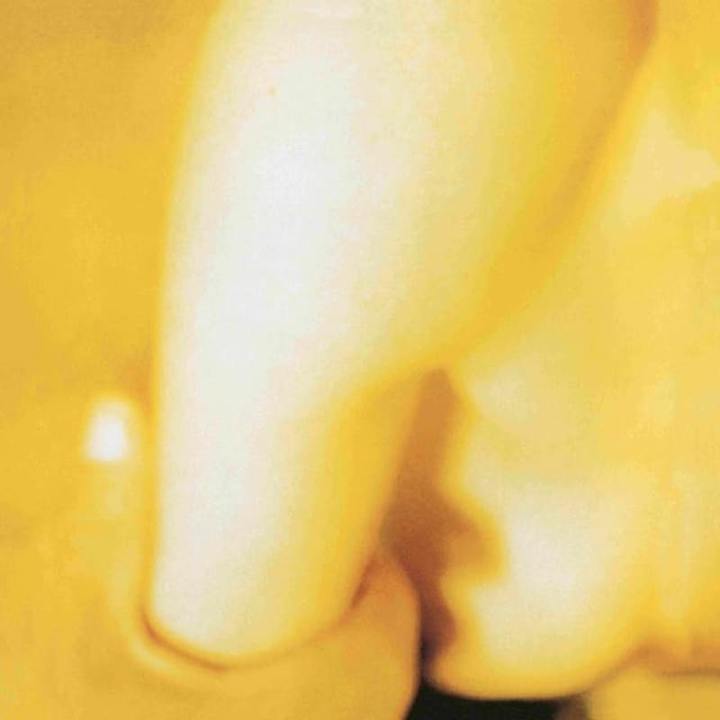Pisces Iscariot (2LP)