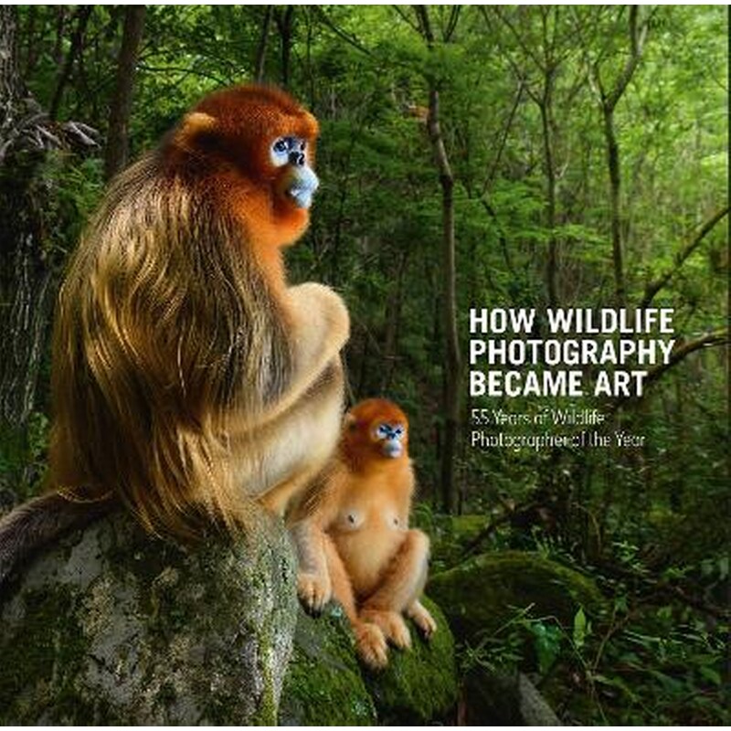 How Wildlife Photography Became Art