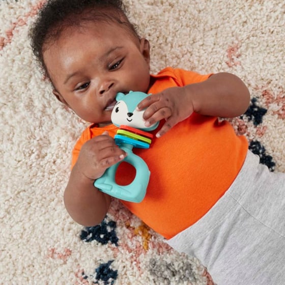 Fisher-Price Παιχνίδια Δραστηριοτήτων Ζωάκια, Κουδουνίστρες και Παιχνίδια Οδοντοφυΐας για Μωρά (Mattel) image 5
