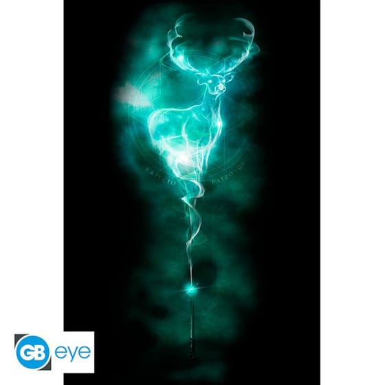Αφίσα Harry Potter Κάθετη 61 x 91.5 cm image 0