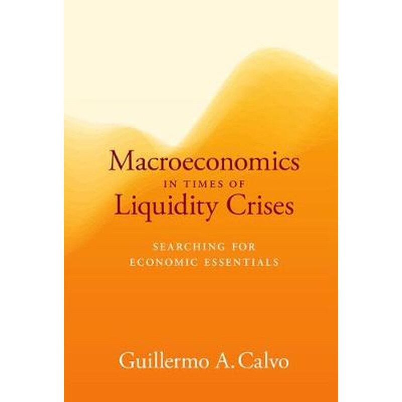 Macroeconomics in Times of Liquidity Crises