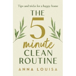 The 5 Minute Clean Routine