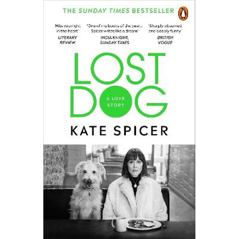 Lost Dog A Love Story