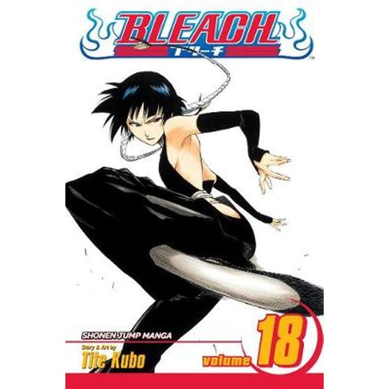 Bleach, Vol. 18 image 0