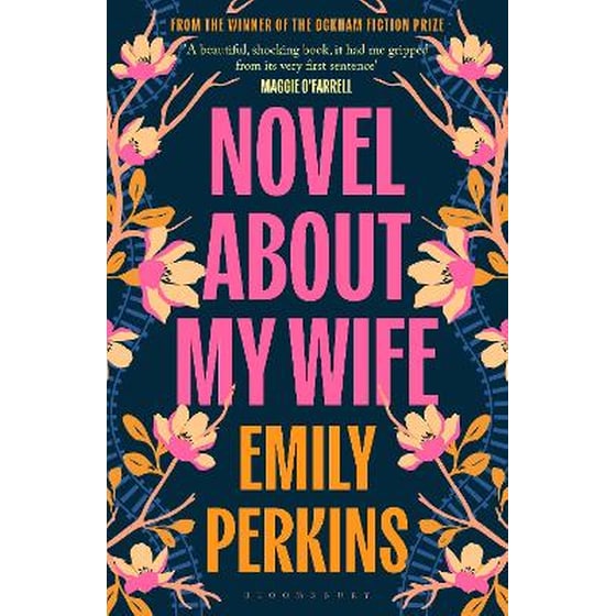 Novel About My Wife image 0