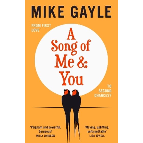 A Song of Me and You image 0