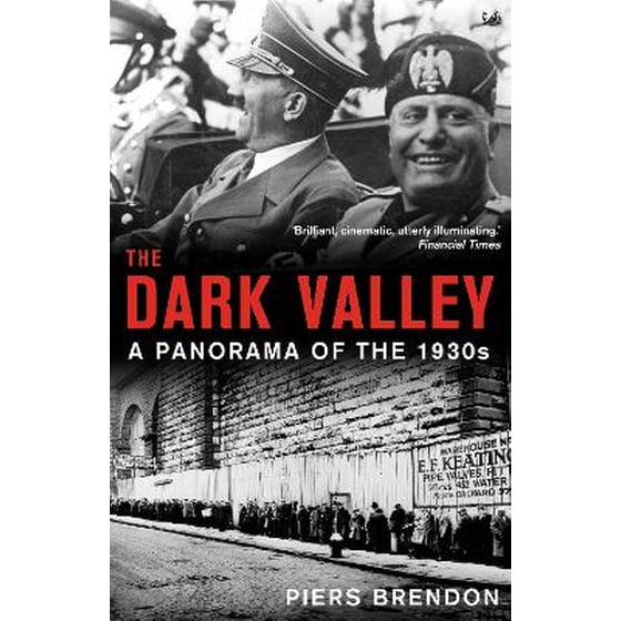 Dark Valley image 0