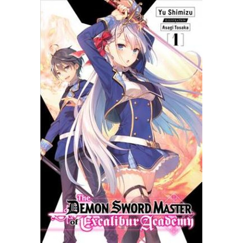 The Demon Sword Master of Excalibur Academy Vol. 1 (light novel)