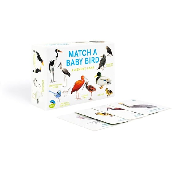 Match a Baby Bird image 3