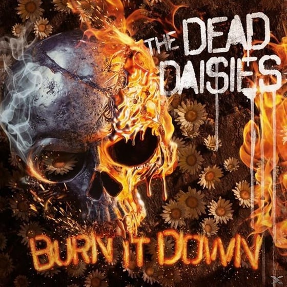 Burn It Down image 0