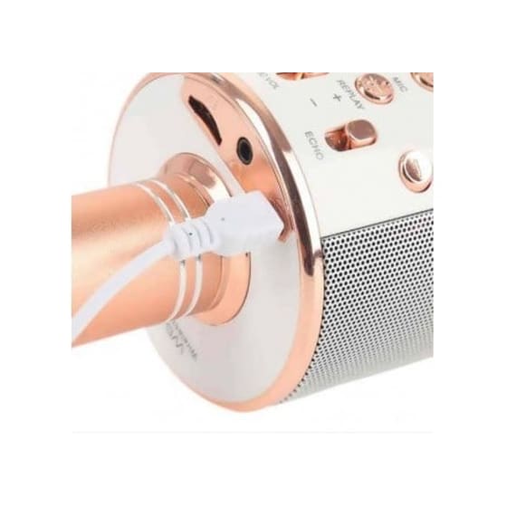 Μικρόφωνο Karaoke Wster Ws-858 Με Ηχείο - Χρυσό image 3