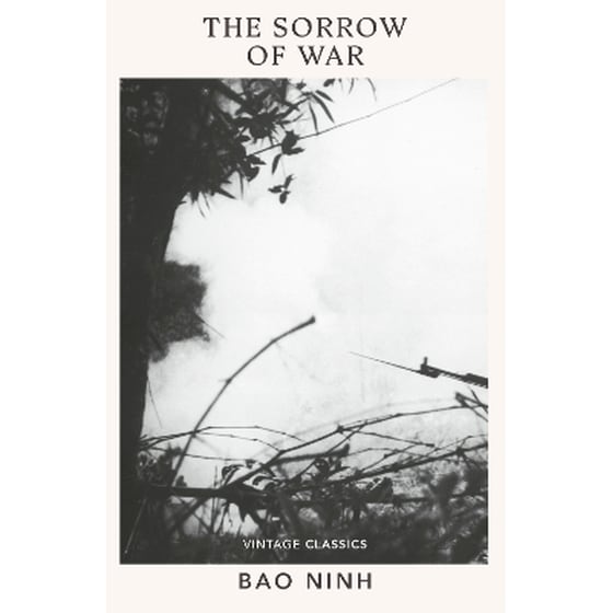 The Sorrow of War image 0