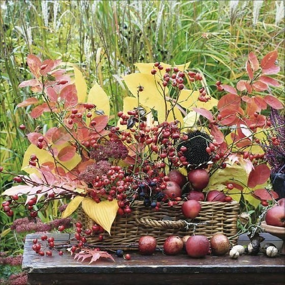 Ημερολόγιο Τοίχου 2025 Gartenträume image 11