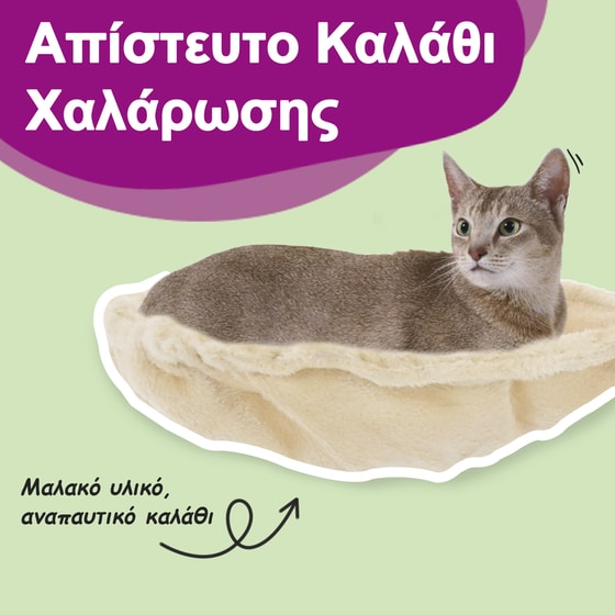 Γατόδεντρο Vidaxl με Στύλους Ξυσίματος από Σιζάλ 42x42x104 cm - Κρεμ image 5