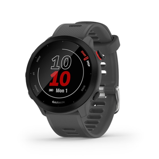 Garmin Forerunner 55 42mm (Monterra Grey) image 0