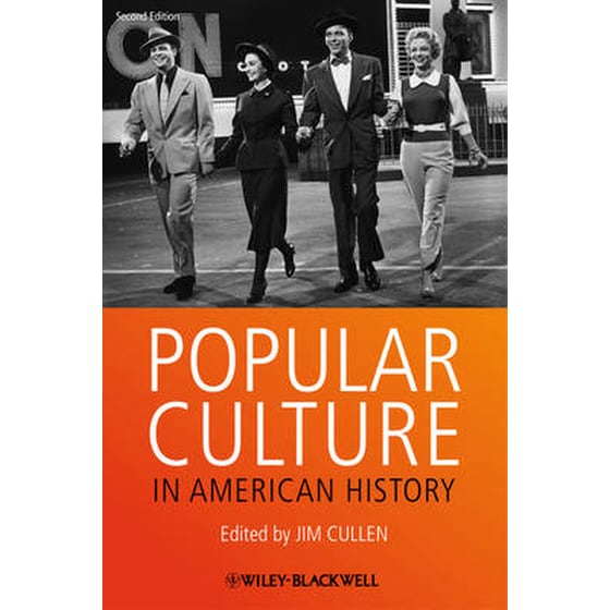 Popular Culture in American History image 0