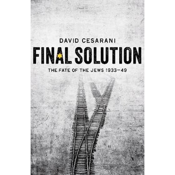 Final Solution image 0