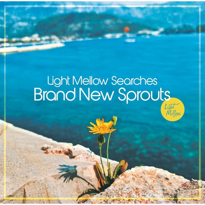 The Best Of Light Mellow Searches