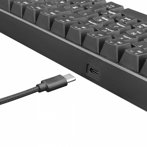 White Shark Shinobi Gaming Μηχανικό Ενσύρματο Πληκτρολόγιο 60% με Outemu Red διακόπτες και RGB φωτισμό (US) Μαύρο image 3