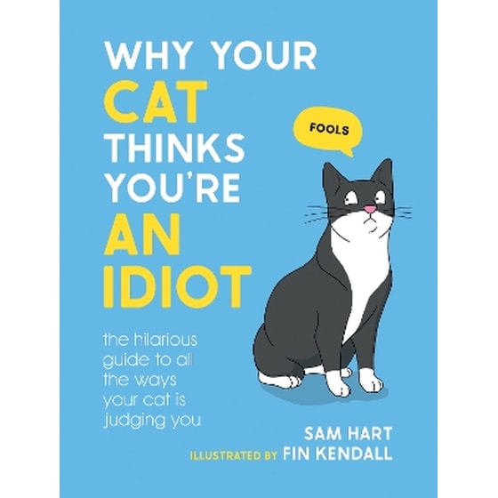 Why Your Cat Thinks You're an Idiot image 0