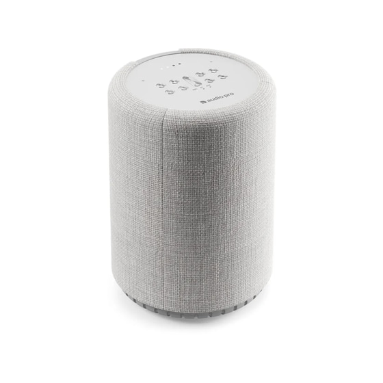 Ηχείο Audio Pro G10 52W με Wi-Fi/Bluetooth - Grey image 2