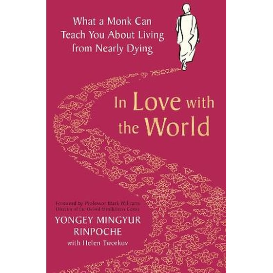 In Love with the World image 0