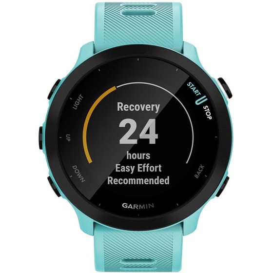 Smartwatch Garmin Forerunner 55 42mm - Aqua image 0