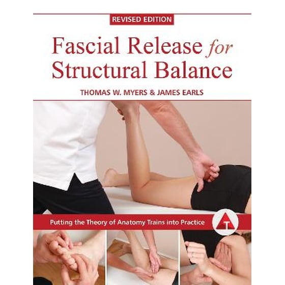 Fascial Release for Structural Balance image 0