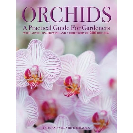 Orchids image 0