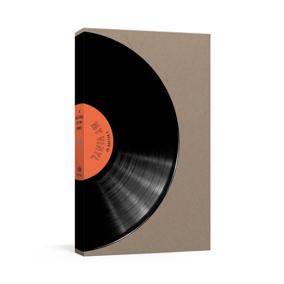 Record of My Vinyl image 0
