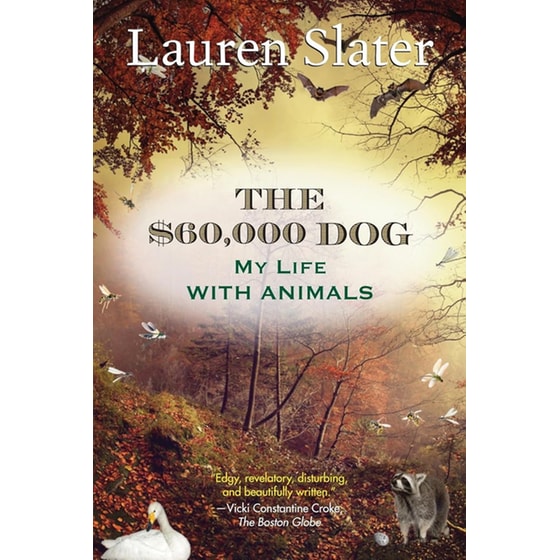 The $60,000 Dog image 0