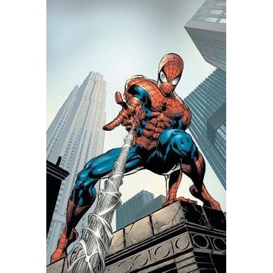 Amazing Spider-man By J. Michael Straczynski Omnibus Vol. 2 image 0