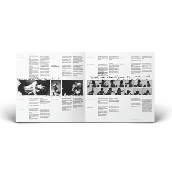 Idols (LP) image 4