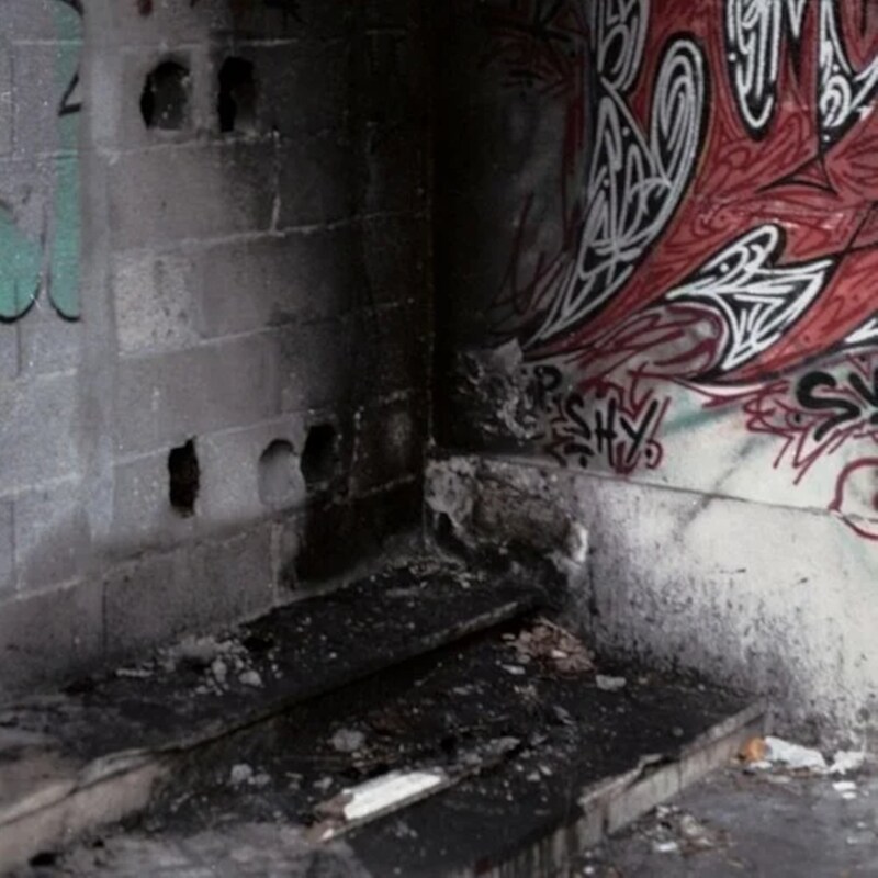 In Trux We Pux 04 (LP)
