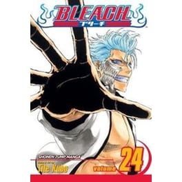 Bleach, Vol. 24