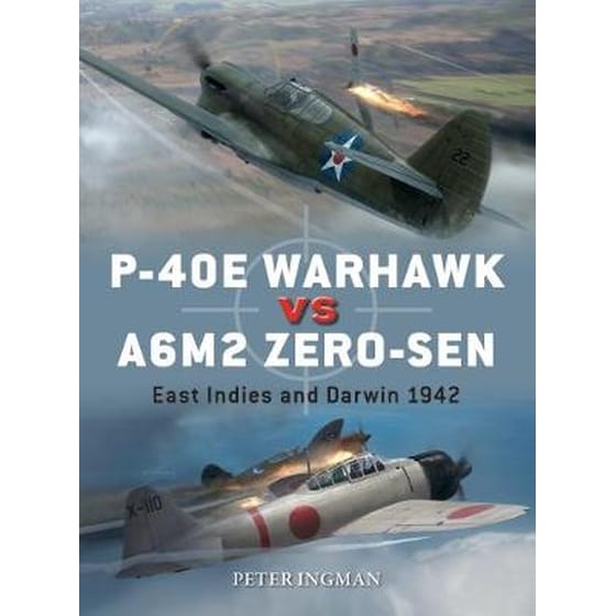 P-40E Warhawk vs A6M2 Zero-sen image 0