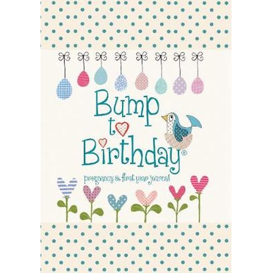 Bump to Birthday, Pregnancy & First Year Journal image 0