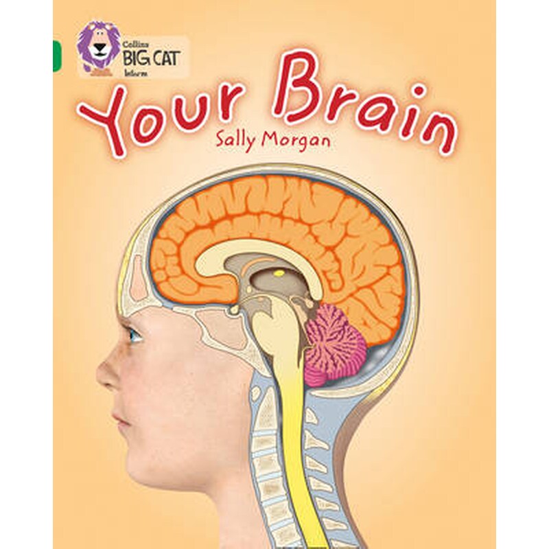 Your Brain Your Brain- Band 15/Emerald 0888987
