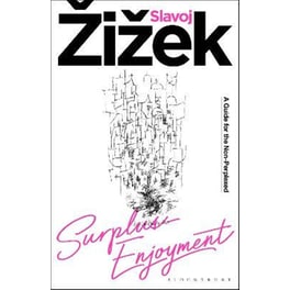 Surplus-Enjoyment
