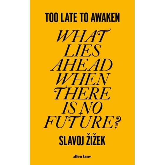 Too Late to Awaken image 0