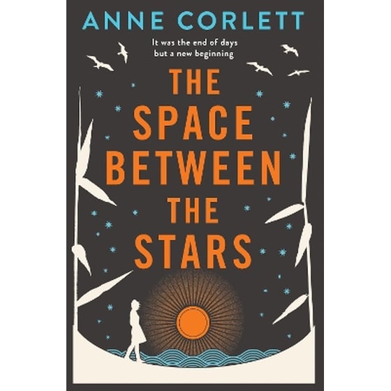 The Space Between the Stars image 0