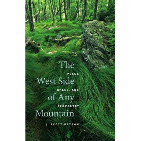 The West Side of Any Mountain image 0