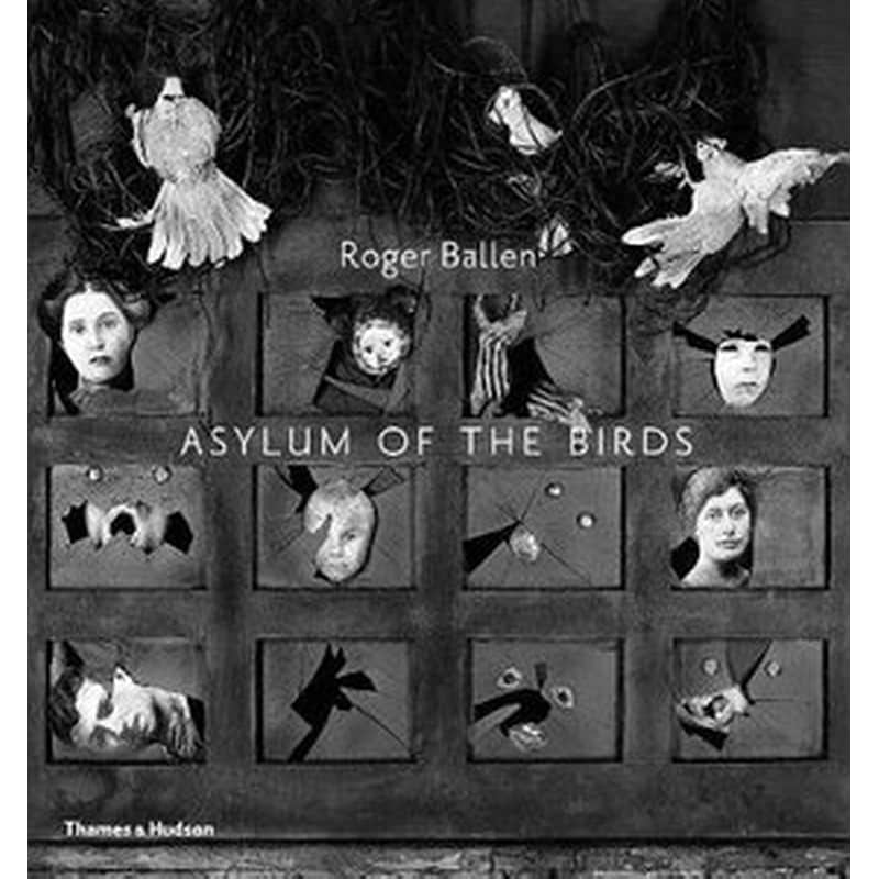 Asylum of the Birds