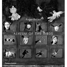 Asylum of the Birds